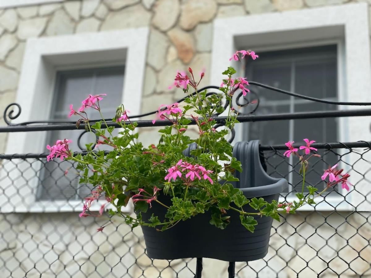 Tokajsky Domcek Apartment Mala Trna ภายนอก รูปภาพ